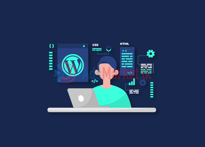 WordPress developer