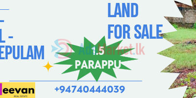 Land-for-sale-in-kokuvil-real-estate