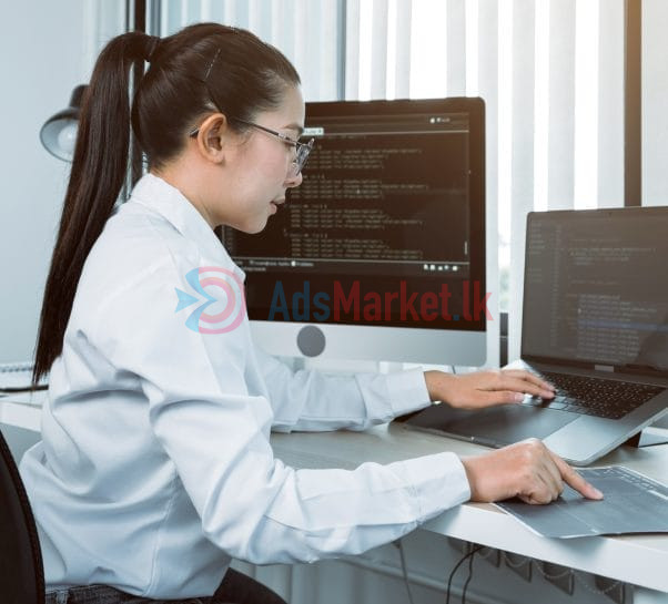 Intern WordPress Developer