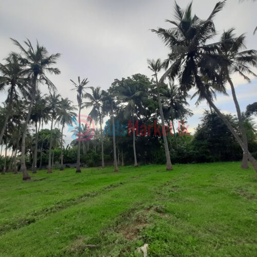 Land for Sale – காணி விற்பனைக்கு