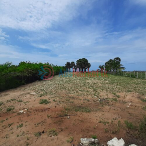 Land for Sale – காணி விற்பனைக்கு