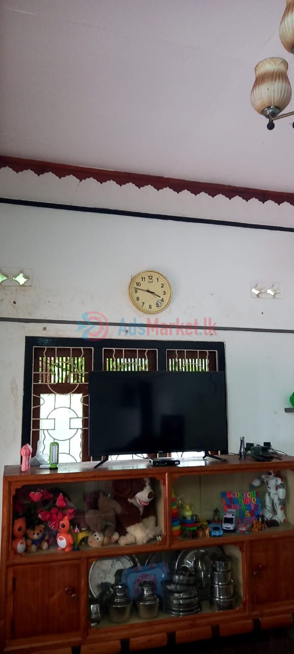 வீடு விற்பனைக்கு | House for Sale in Kondavil