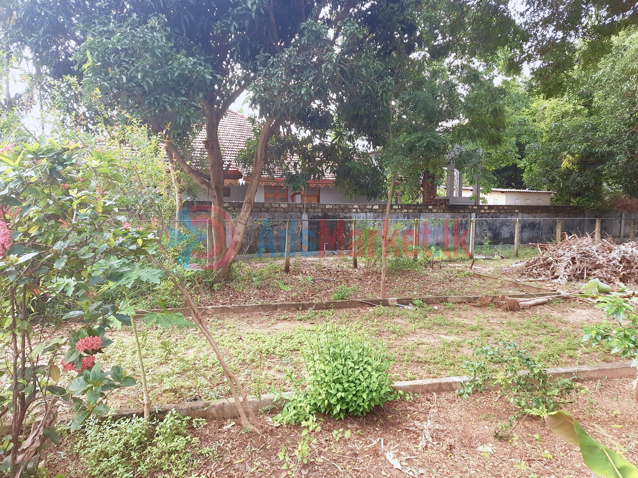 காணி விற்பனைக்கு | Land for Sale