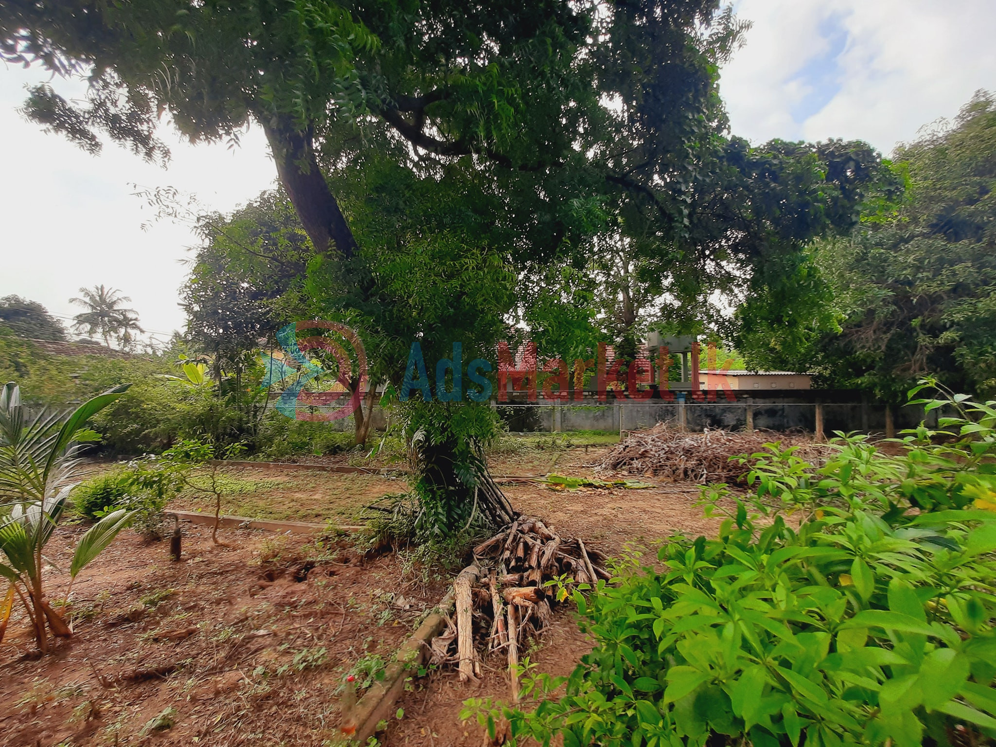 காணி விற்பனைக்கு | Land for Sale