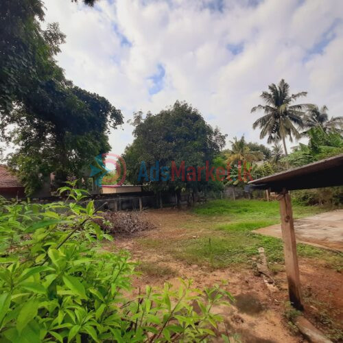 காணி விற்பனைக்கு | Land for Sale