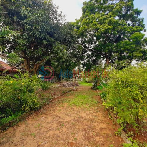 காணி விற்பனைக்கு | Land for Sale