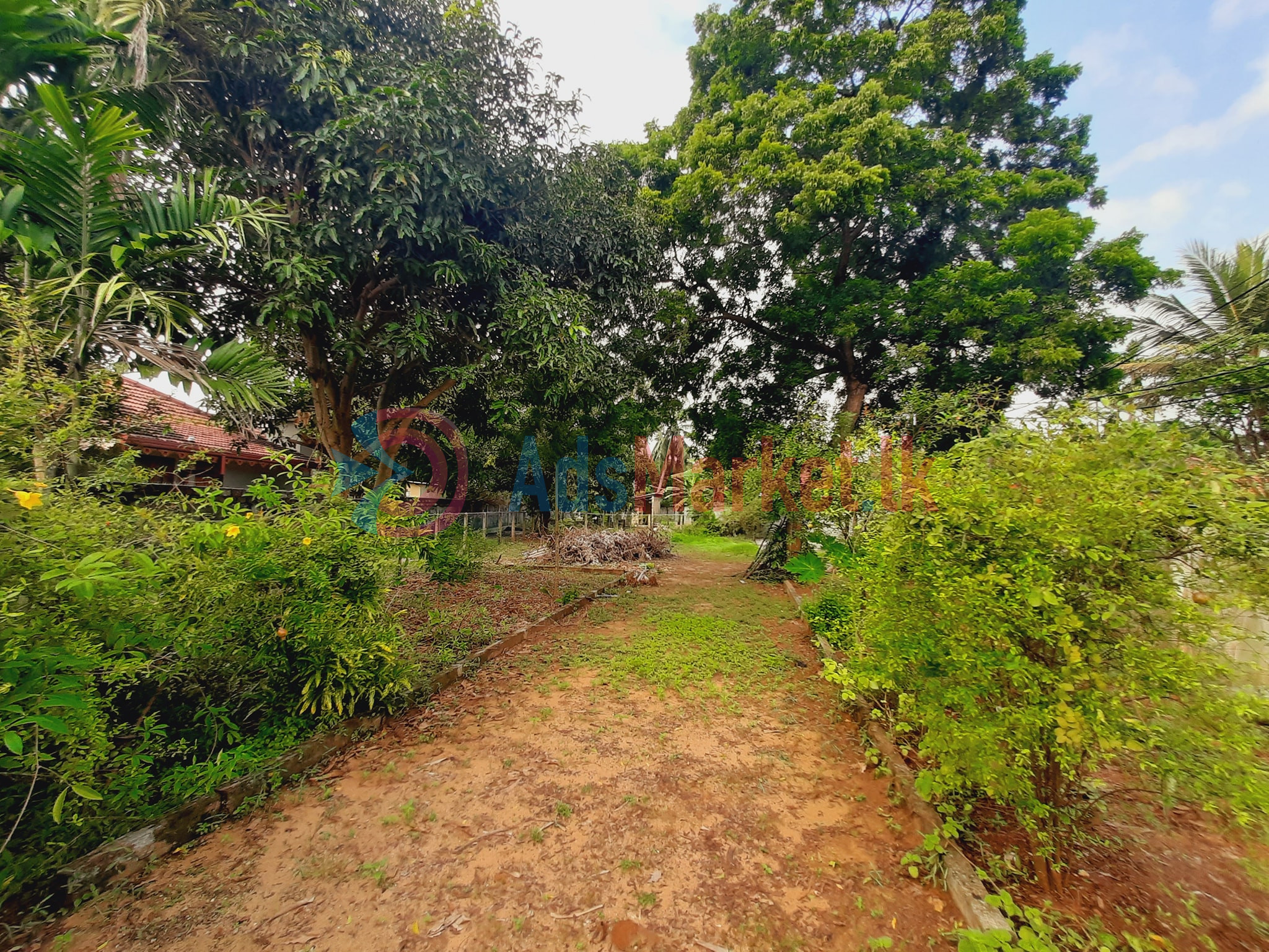 காணி விற்பனைக்கு | Land for Sale