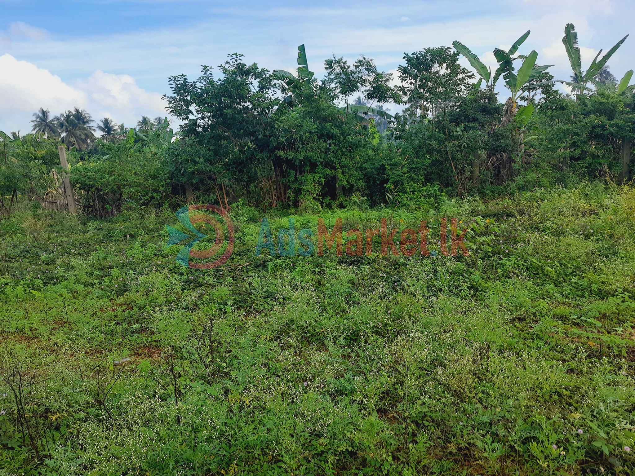 காணி விற்பனைக்கு | Land Sale in Kopay