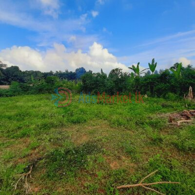 land-sale-in-kopay-3