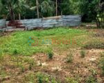 காணி விற்பனைக்கு | Land Sale in Kopay