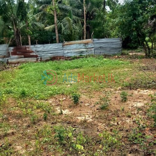 காணி விற்பனைக்கு | Land Sale in Kopay