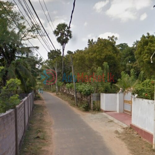 காணி விற்பனைக்கு | Land Sale in Kopay