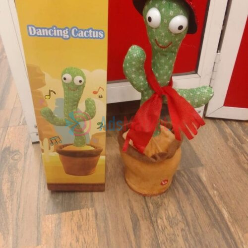 Cactus Toy With Cap And Shawl