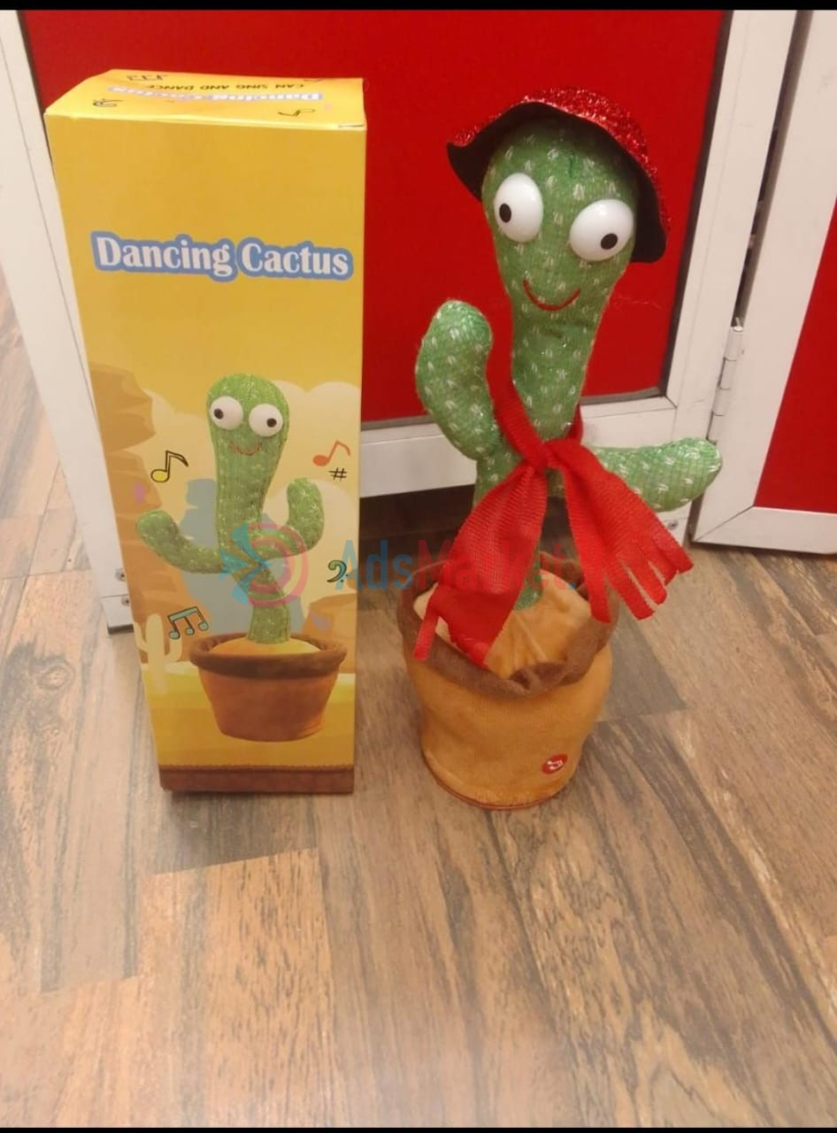 Cactus Toy With Cap And Shawl