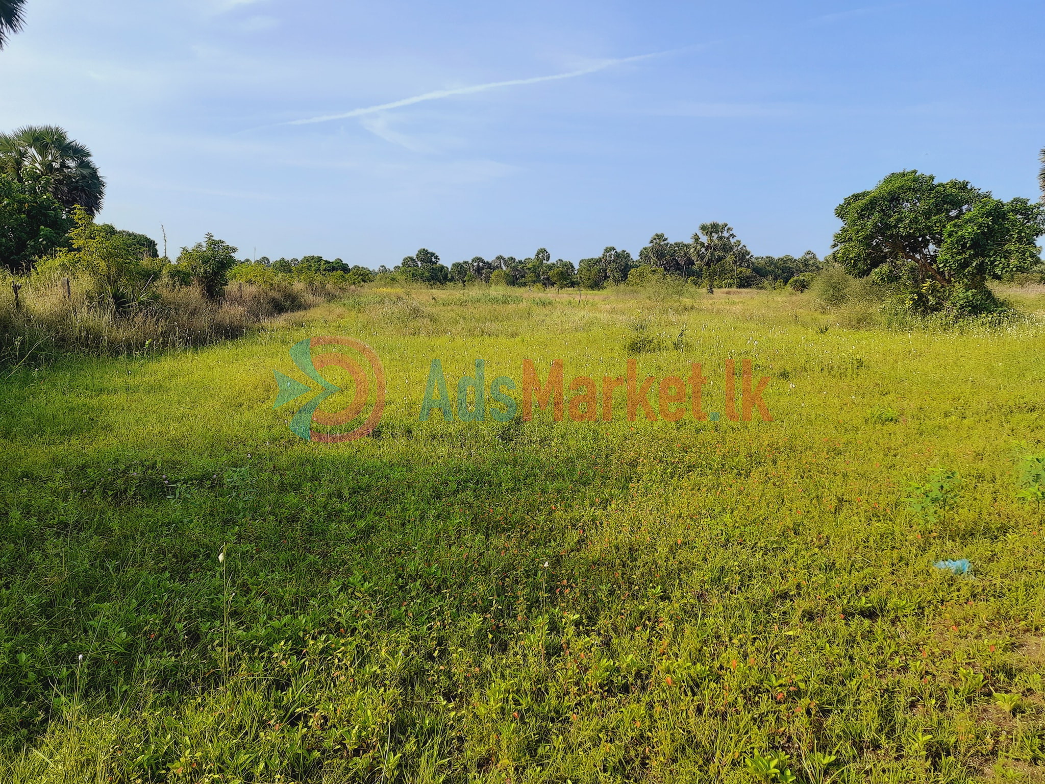 விற்பனைக்கு: கிளிநொச்சி A9 பிரதான வீதியோர 11 ஏக்கர் காணி – ரூ.40 இலட்சம்/ஏக்கர்