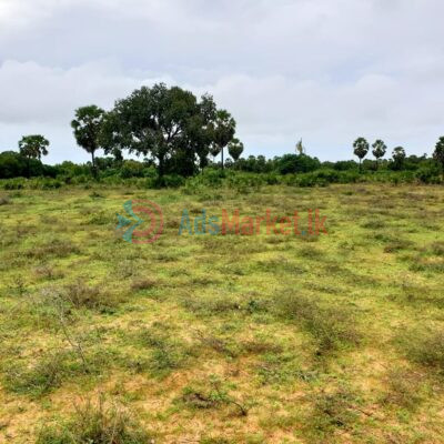 land-for-sale-in-killinochchi-3