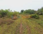 10 Acres Land for Sale in Kilinochchi – Maasaar | Best Investment Opportunity