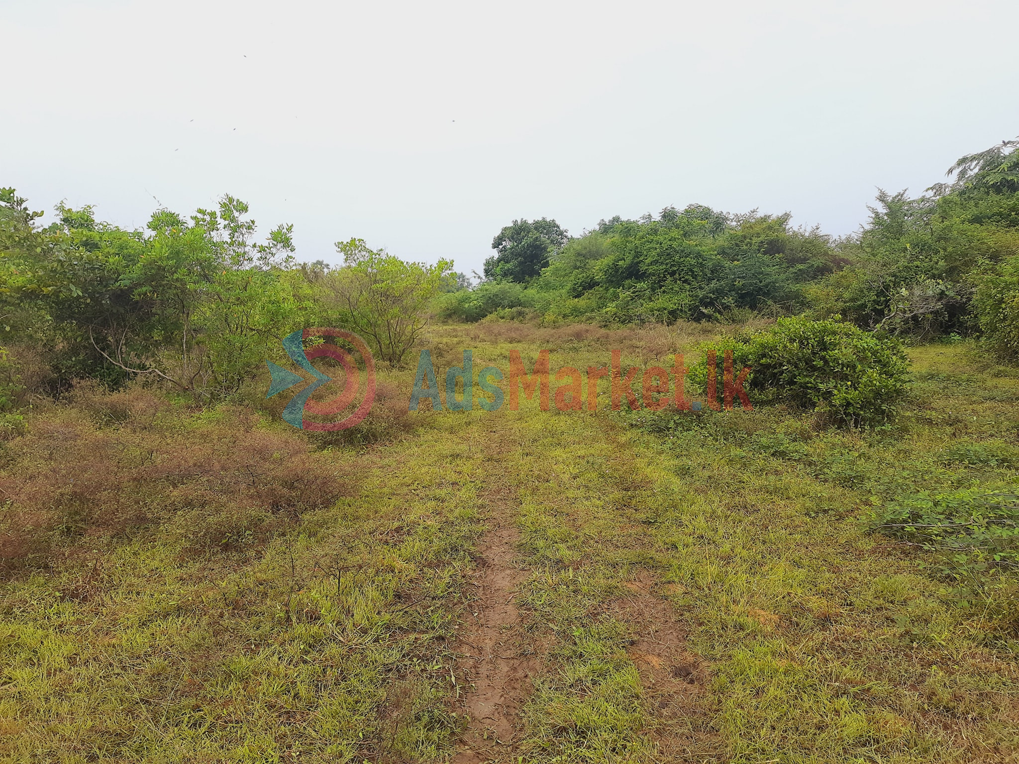 10 Acres Land for Sale in Kilinochchi – Maasaar | Best Investment Opportunity