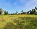 10 Acres Land for Sale in Kilinochchi – Maasaar | Best Investment Opportunity