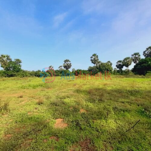 10 Acres Land for Sale in Kilinochchi – Maasaar | Best Investment Opportunity