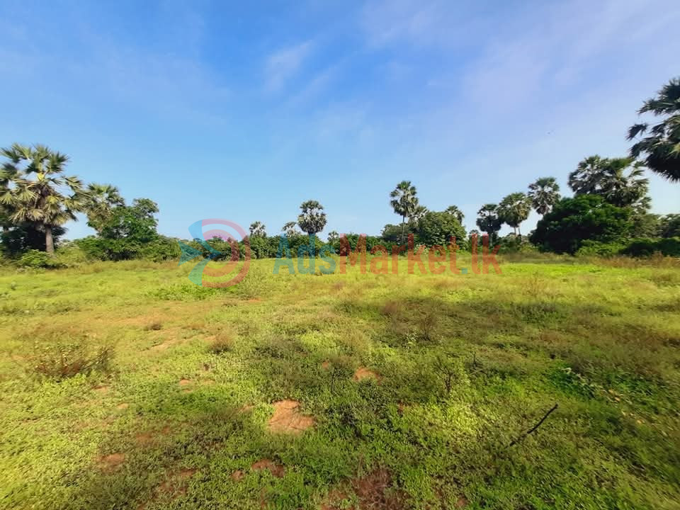10 Acres Land for Sale in Kilinochchi – Maasaar | Best Investment Opportunity