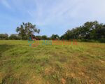 10 Acres Land for Sale in Kilinochchi – Maasaar | Best Investment Opportunity