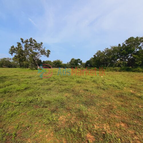 10 Acres Land for Sale in Kilinochchi – Maasaar | Best Investment Opportunity