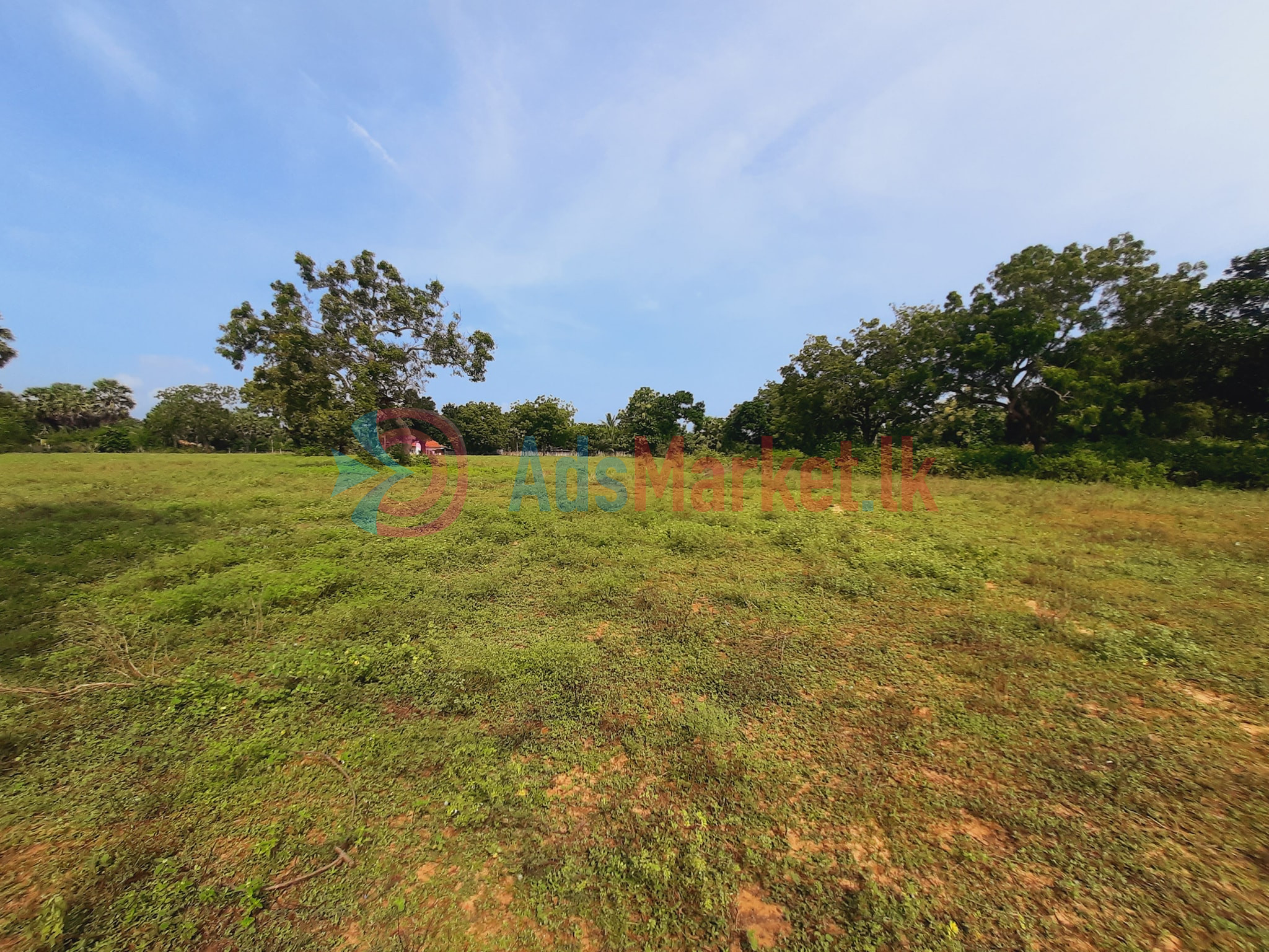 10 Acres Land for Sale in Kilinochchi – Maasaar | Best Investment Opportunity