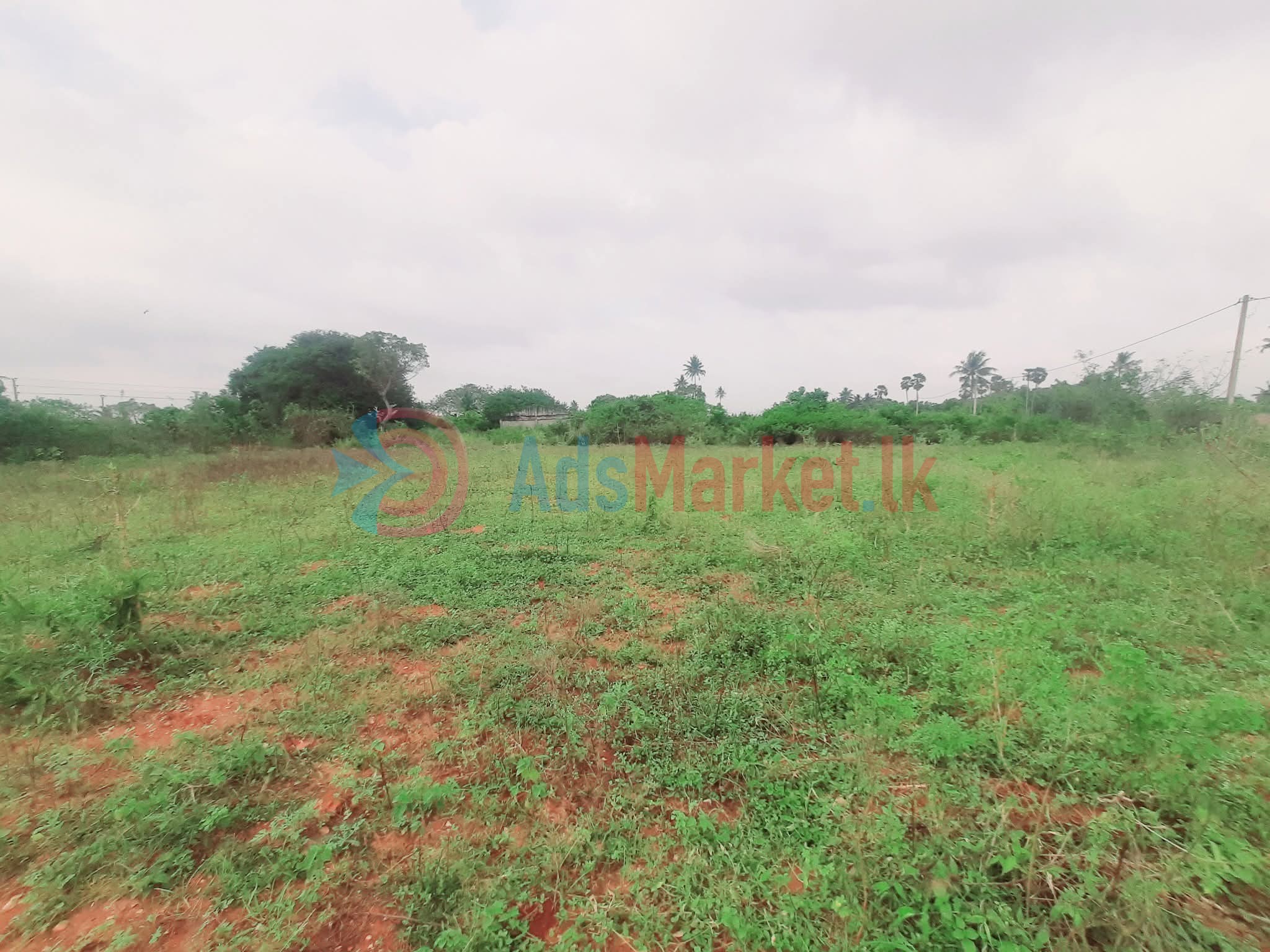 Jaffna Real Estate | Land for Sale in Kondavil (Near Rasamani Hall)