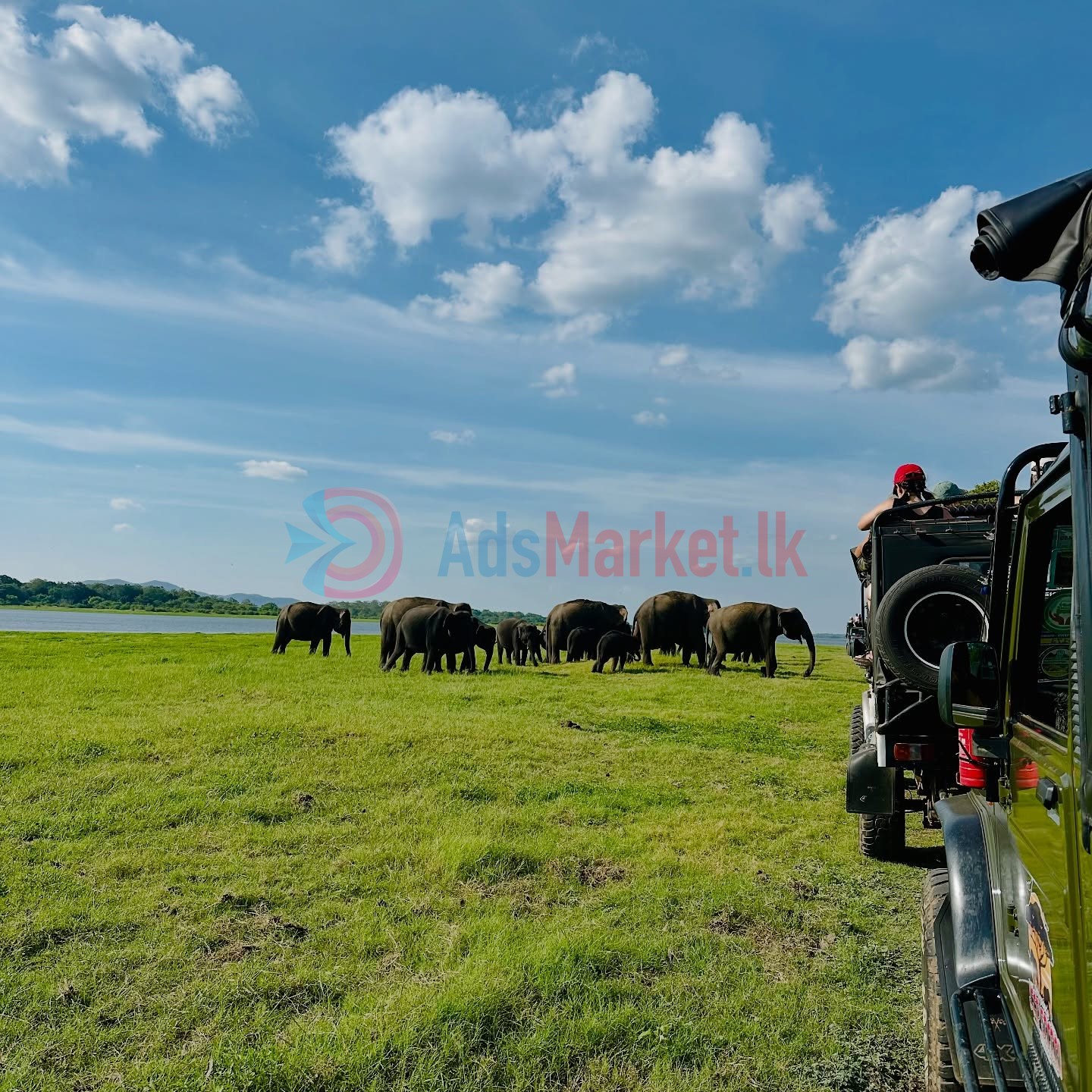 10-Day All Ceylon Tour Package – Explore Sri Lanka’s Top Destinations | Shan Travels